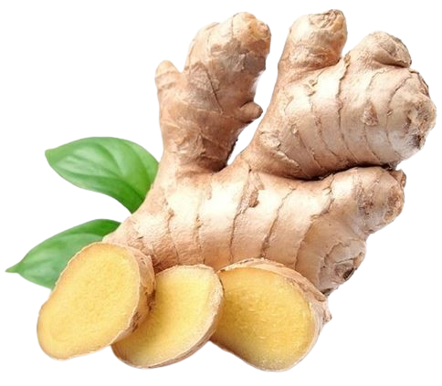 Ada (Imported Ginger)